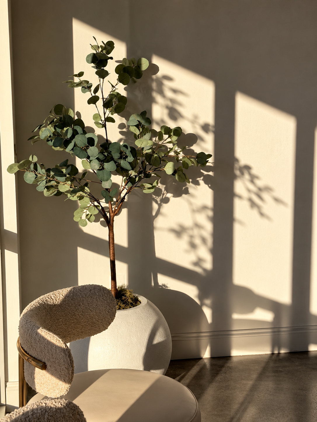 Push Med clinic in Greenville SC with natural light and eucalyptus